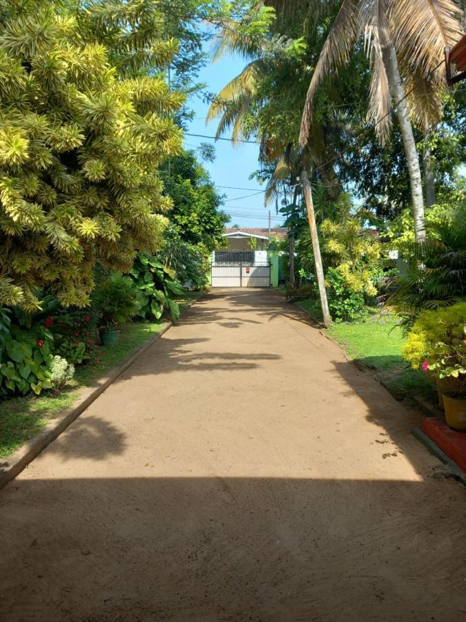 Shenya Villa Bentota Dış mekan fotoğraf