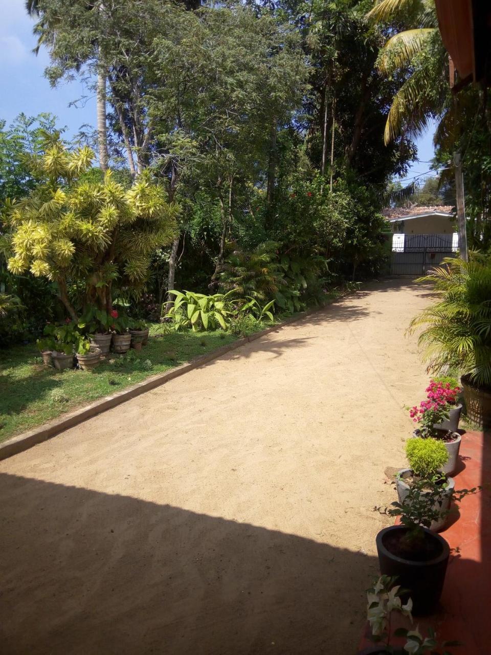 Shenya Villa Bentota Dış mekan fotoğraf