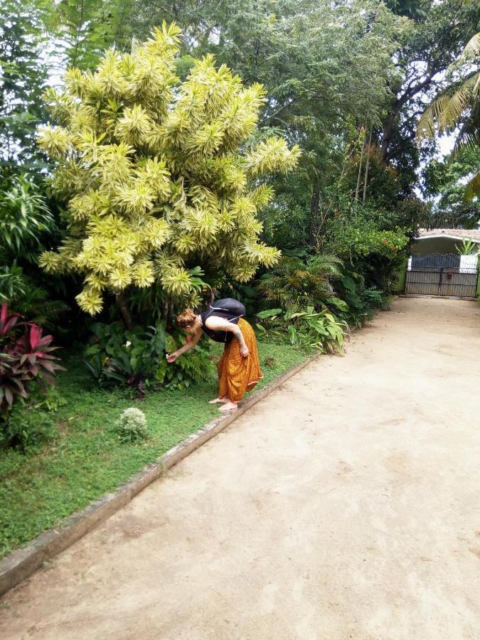 Shenya Villa Bentota Dış mekan fotoğraf